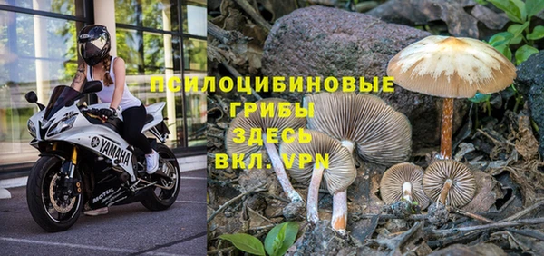 каннабис Абдулино