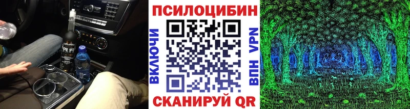 закладка  Нариманов  Галлюциногенные грибы Psilocybe 